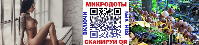 Псилоцибиновые грибы GOLDEN TEACHER  где купить наркотик  Палласовка 
